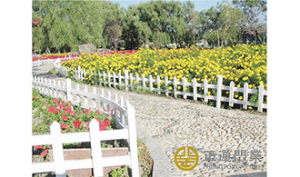 25 大庆市悦园小区