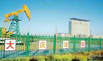  17 大庆油田有限责任公司